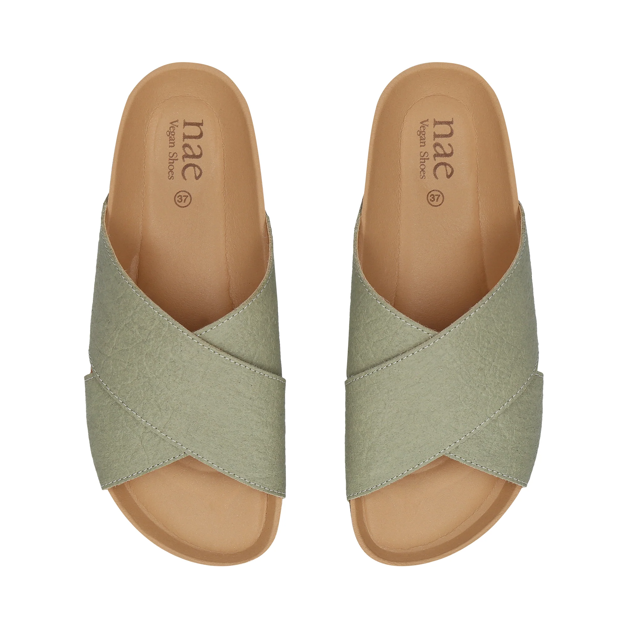 TUPAI Green - Image 5
